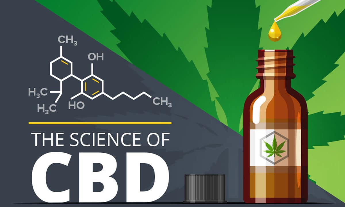 How CBD Works