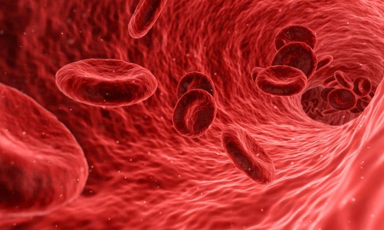 How Long Does Marijuana Stay In Your Circulatory System?
