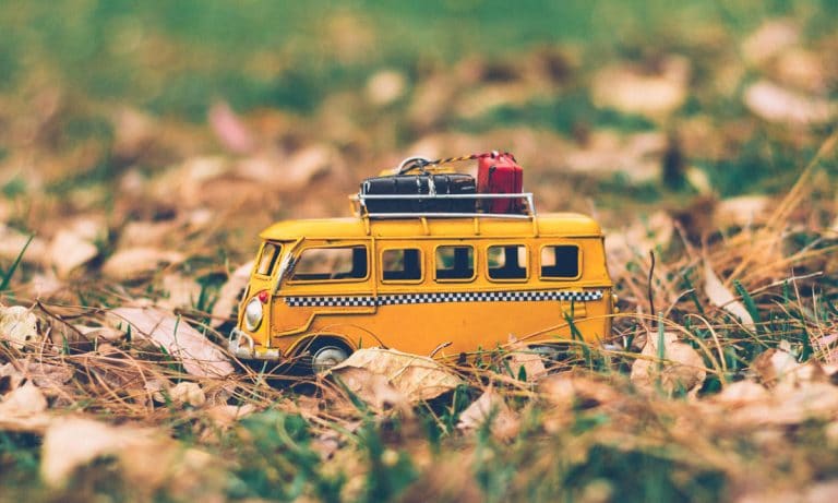 Take A Peek Inside This Mini World Of Cannabis