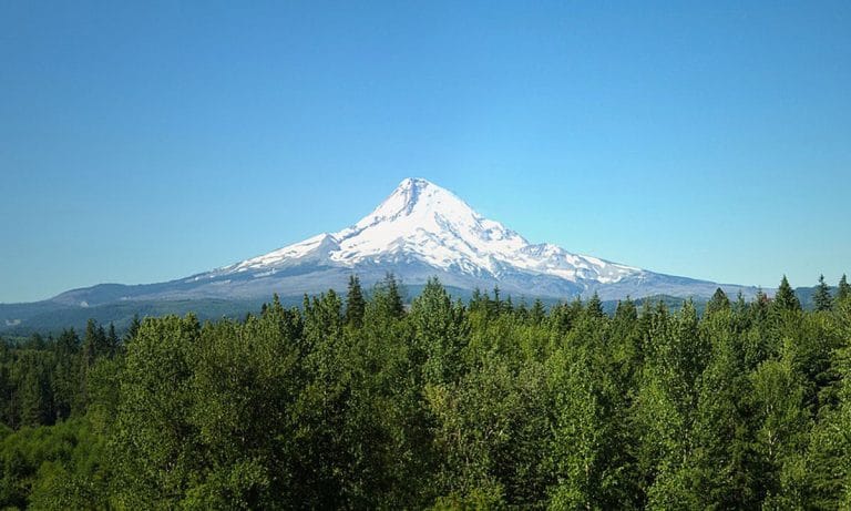 This State Just Moved Closer To Decriminalizing All Drugs