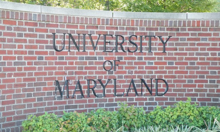 This University Is Teaching Students About Marijuana