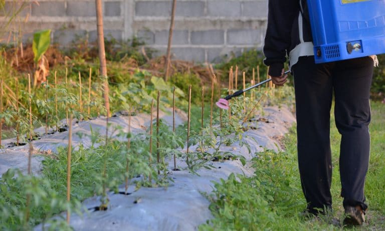 3 Things That Are Dangerous For Medical Marijuana Patients