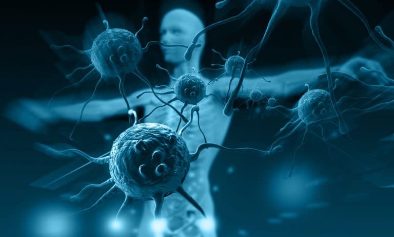 What Does Marijuana Do To Your Immune System?