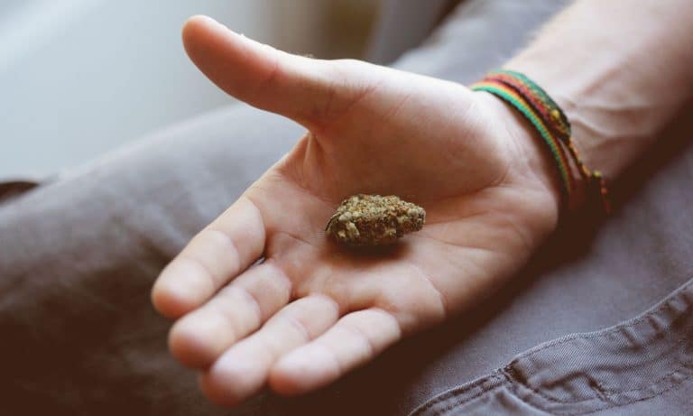 What To Expect From Maine’s Recreational Marijuana Market