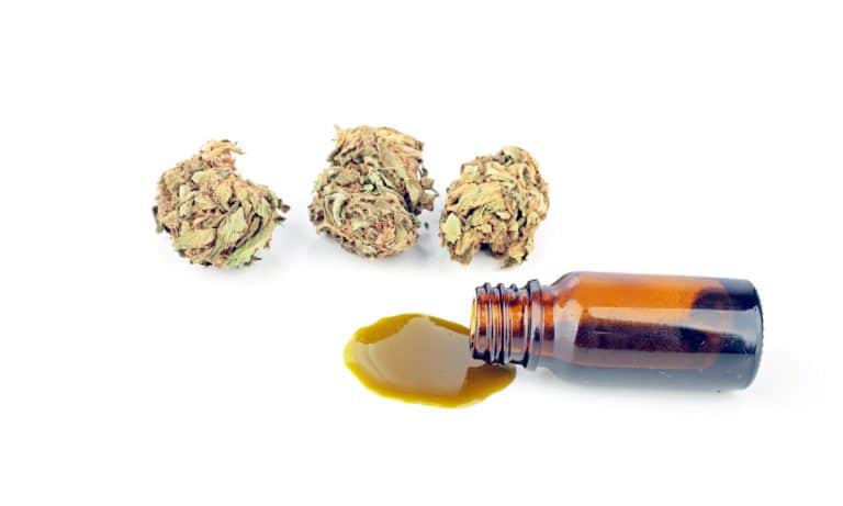 What Type Of Cannabis Therapy Is Right For You?