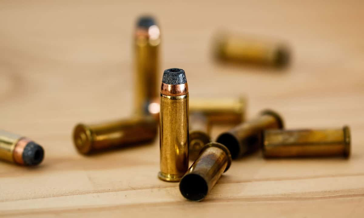 gun