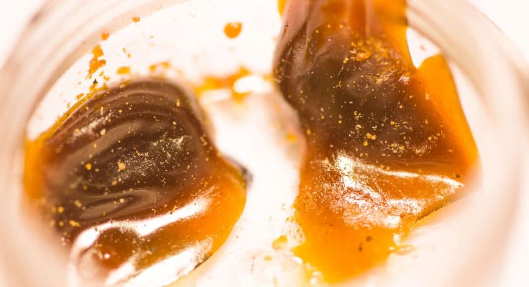 The Only Primer You Need: Butane Vs. CO2 Cannabis Extractions