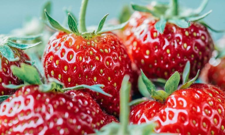 7 Refreshing Fruit Beers To Beat The Summer Heat