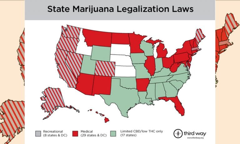 Deep Dive: A Look At America’s Marijuana Evolution