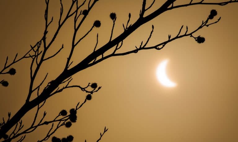 Photograph The Eclipse With Your Smartphone: 5 Tips