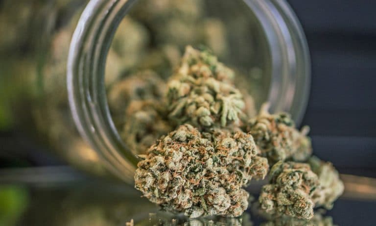 This Company Wants To Be The ‘Courvoisier of Cannabis’