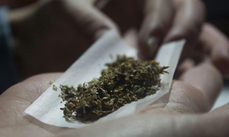 Why Marijuana’s Popularity Continues To Soar In America