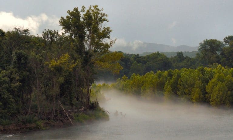 More Than 750 Patients Just Received Medical Marijuana IDs In Arkansas