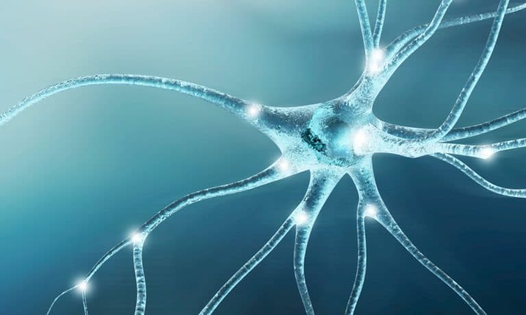 How Medical Cannabis Can Be A Silver Bullet For Neuropathy