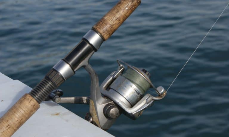 Watch A Texas Man Catch Fish Barehanded In Living Room