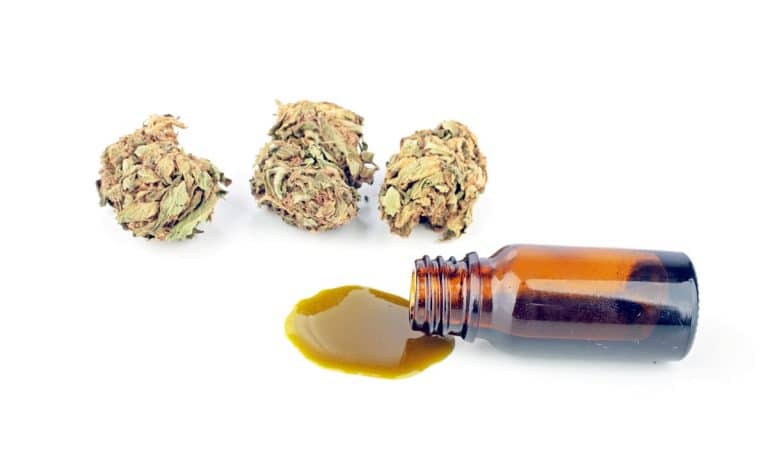 The FDA Finally Admitted That Marijuana’s CBD Is Beneficial
