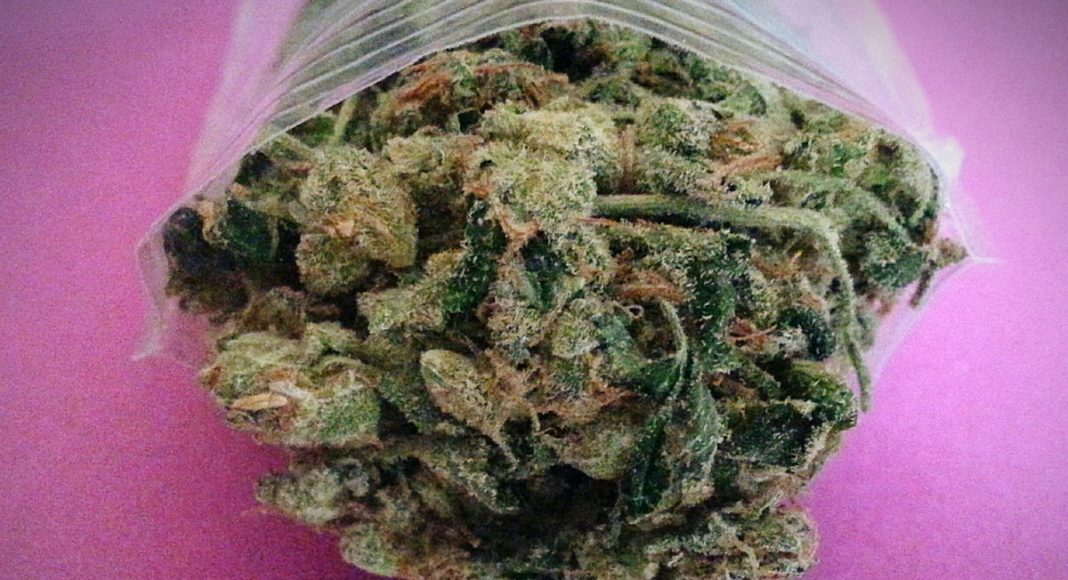 Raw Cannabis