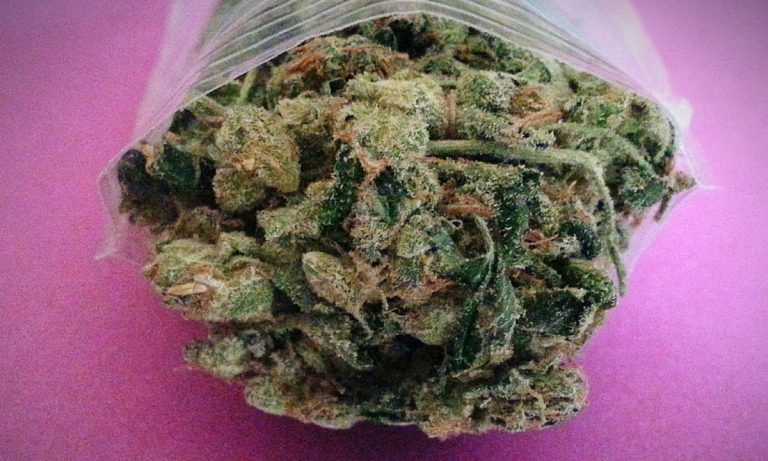 What Happens To Your Body When You Eat Raw Cannabis?