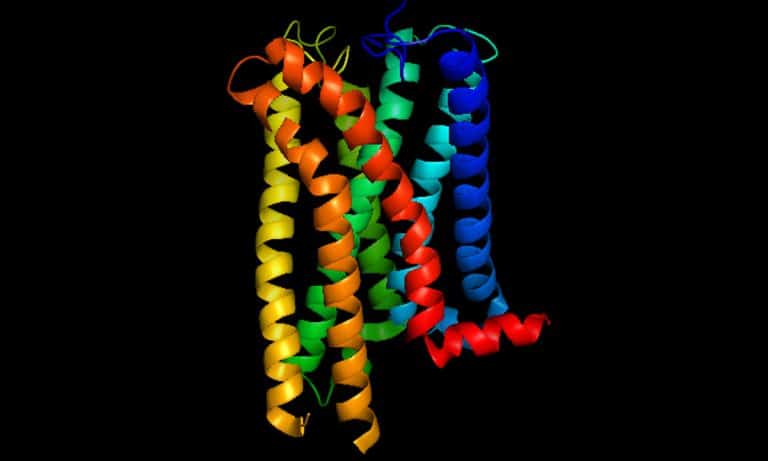 Scientists Want To Develop Synthetic Medical Cannabis