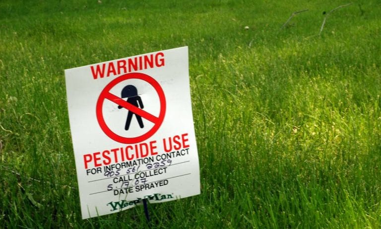 Marijuana Poisoning In Oregon Will Soon Be A Thing Of The Past