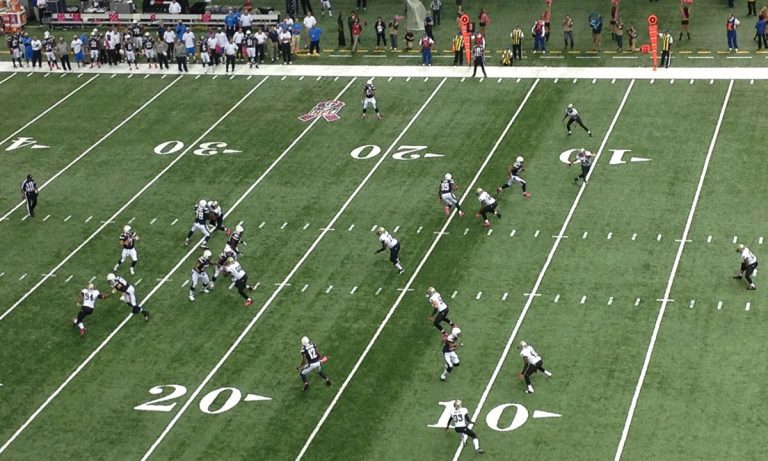 Cannabis’ CBD Could Be An Important Asset In Treating NFL CTE