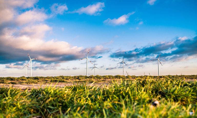 Colorado Cannabis Farmer Creates Zero-Carbon Footprint Grow