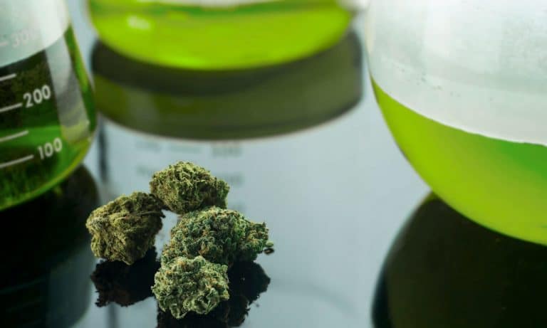 Finally! Some Actual Good News For Federal Cannabis Research