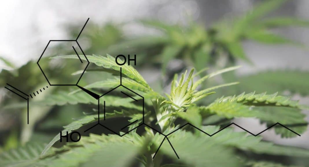 Why Approval Of Cannabis-Based Epilepsy Drug May Not Be A Win