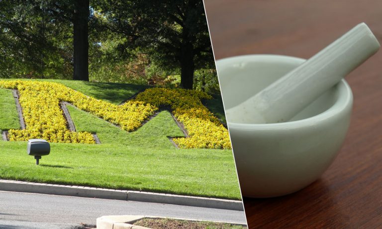 Marijuana Education Program Gets Axed By University of Maryland