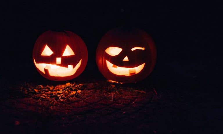 People Are Losing Their Minds Over This Decapitated Body In Tennessee