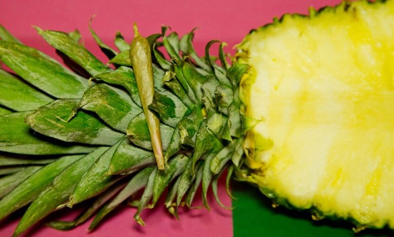 Ward Off Cold Season With Pineapple Cannabis Cough Syrup