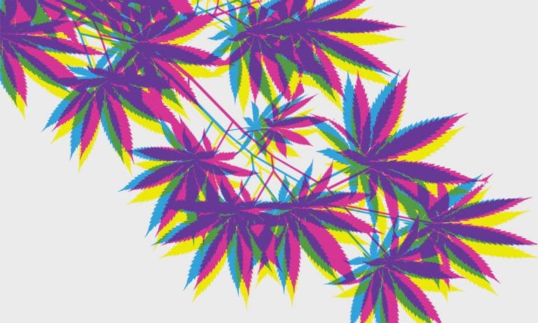 Social Media Campaign Asks Marijuana Patients To ‘Be Brave For Cannabis’