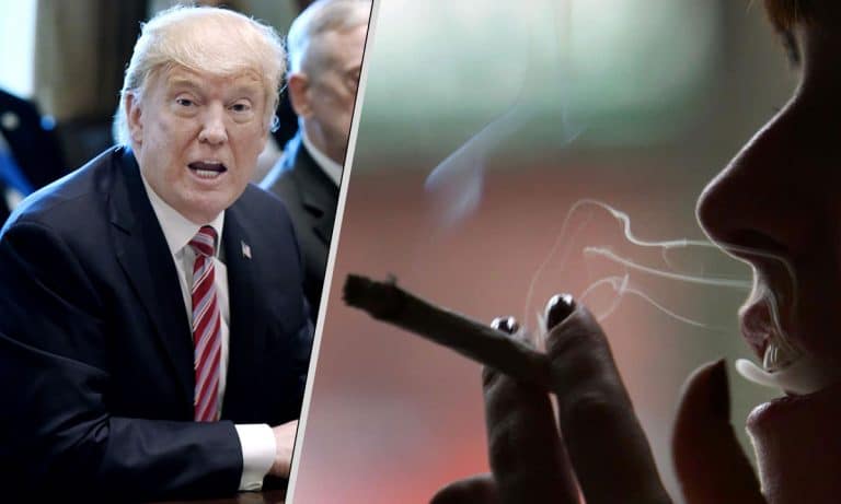 Trump Capitulates: State Marijuana Laws Are Safe
