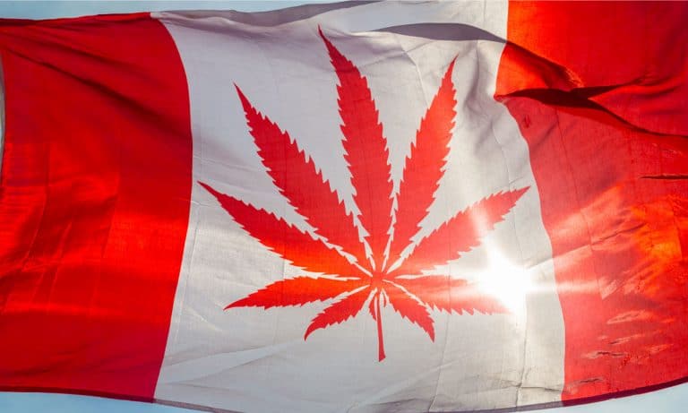 4 Canadian Marijuana Stocks That Are Flying High