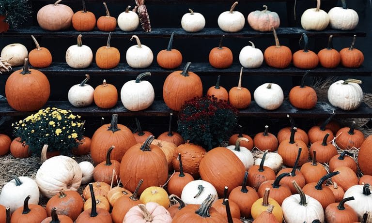 5 Simple Steps To Follow For A Halloween Detox We All Need