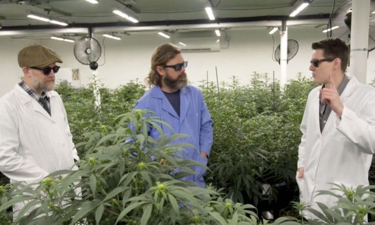 Growing Wild: A New Docu-Series Shines A Light On Cannabis