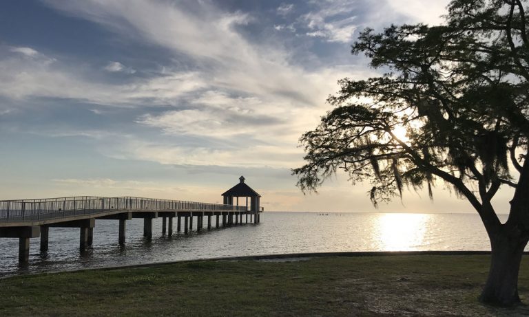 Louisiana Medical Marijuana Program Doctor Shortage Is Hurting Patients