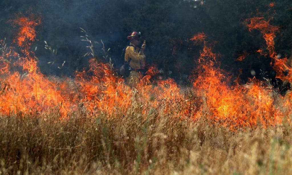 The California Fires and Cannabis