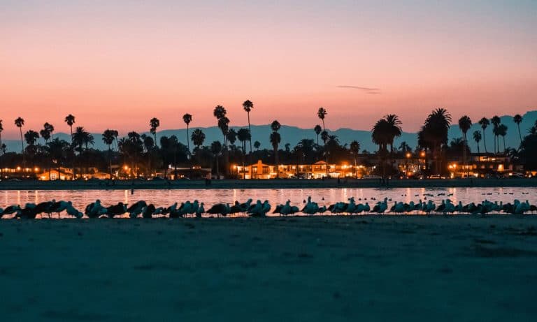 20 Things You Should Know About California’s New Marijuana Rules