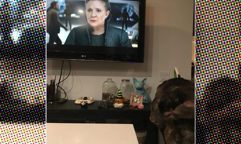 Carrie Fisher’s Dog Watching The New Star Wars Trailer Is Devastating