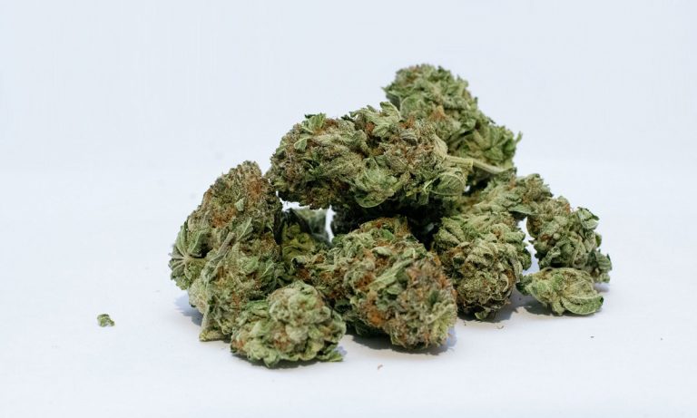 For Real: Big Marijuana Deals For New York This Cyber Monday