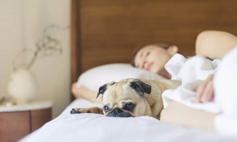 Everything You Need To Know About Marijuana And Sleep
