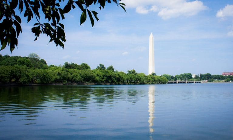 Federal Employees In D.C. Area Are Buying Loads Of Legal Weed