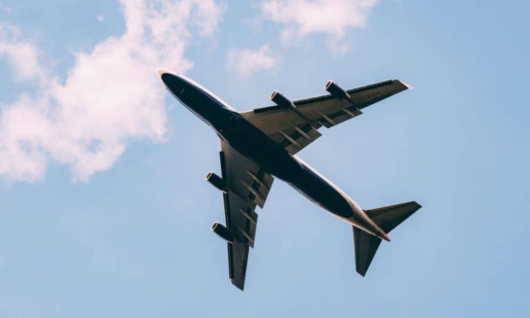 Florida Man Blames Edible Marijuana For Assault On Flight Attendant