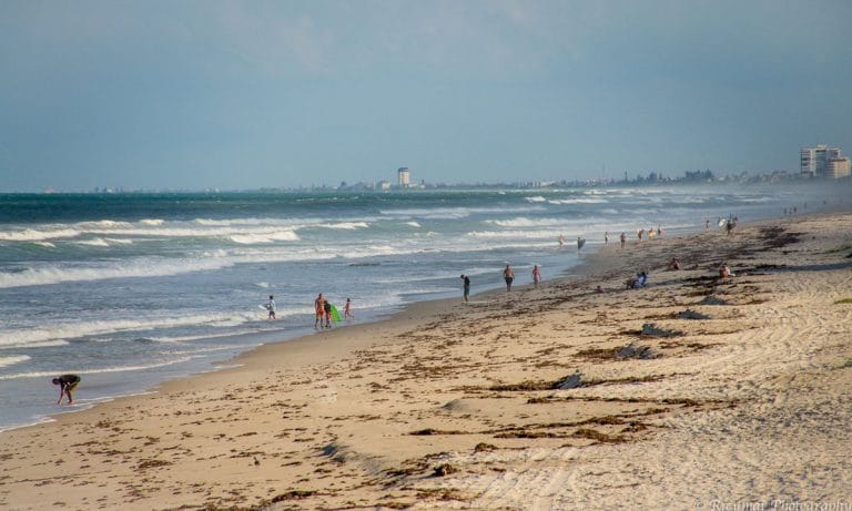 Florida Medical Marijuana Patients Are Waiting Months For ID Cards