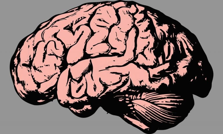 Study: How Does Marijuana Effect Adolescent Brains?