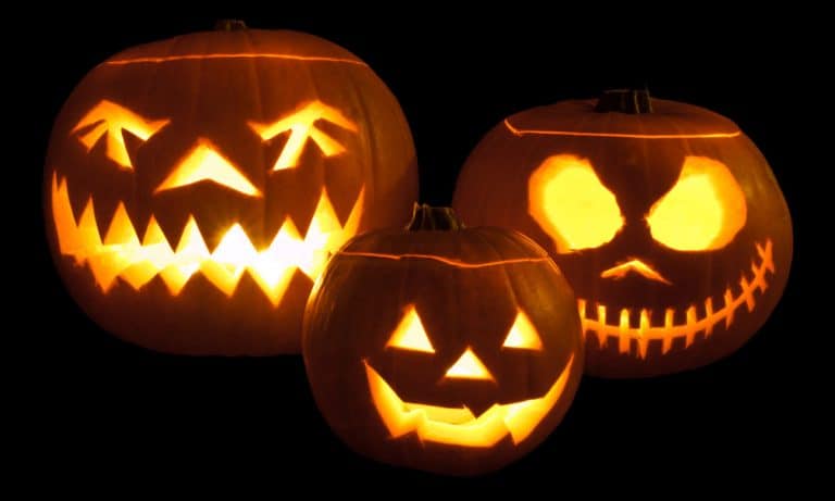 It’s Almost Halloween! Here’s A Simple Guide To Pumpkin Carving