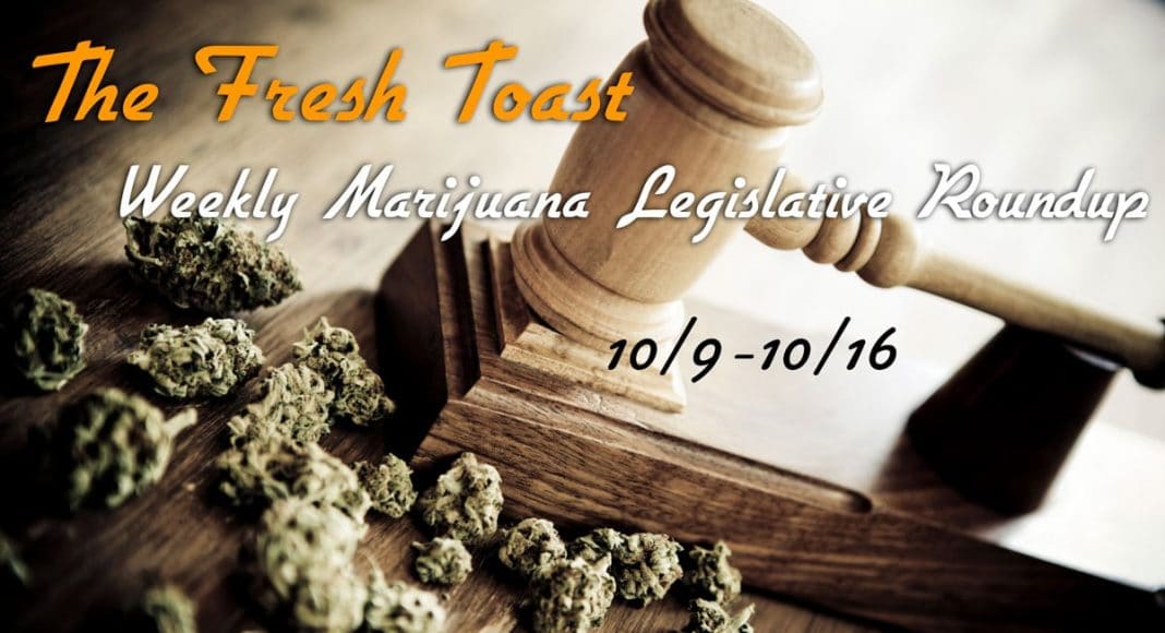 Marijuana Legislative Roundup