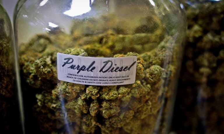 Michigan Will Train You For A Medical Marijuana License