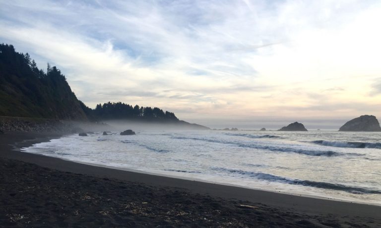 Must-See Cannabis Landmarks Along Highway 101